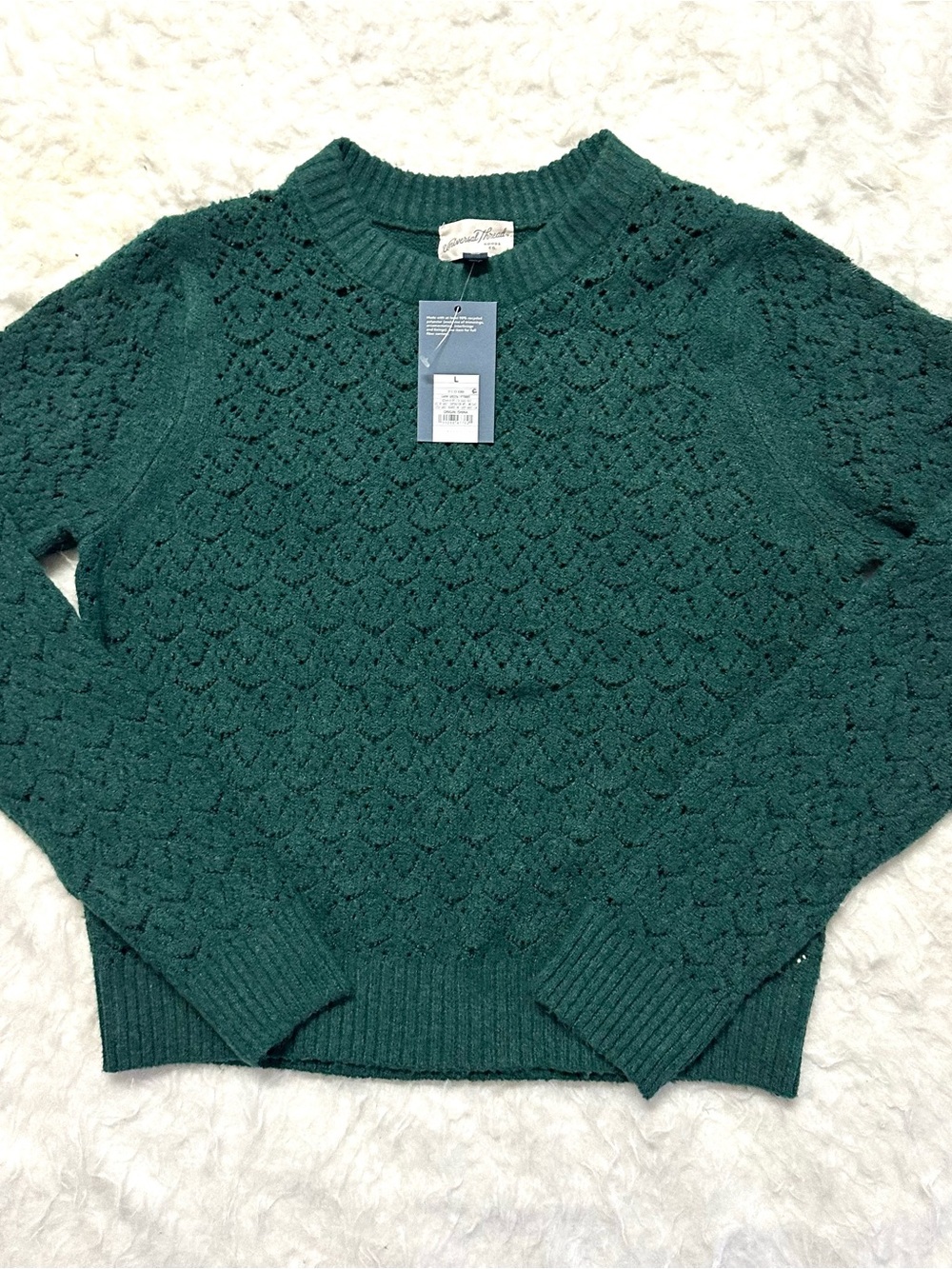 Universal Thread Women's Teal Green Lace-Knit Crewneck Sweater